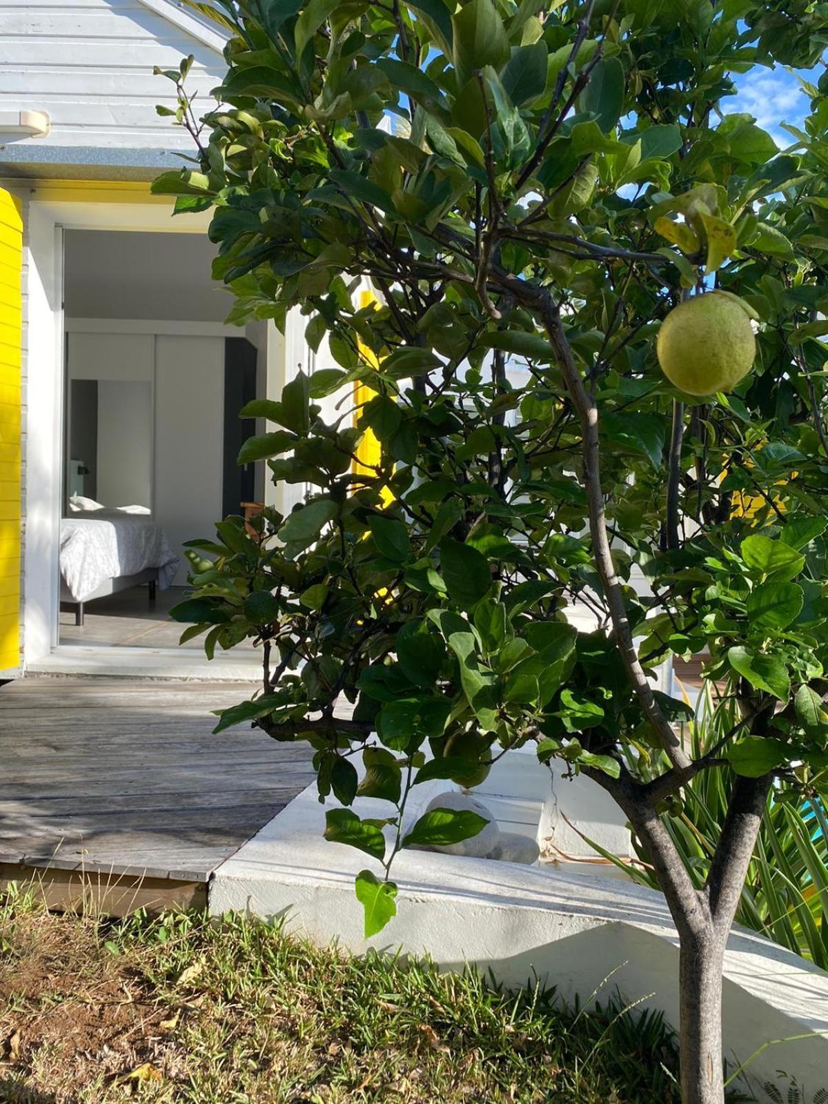 Villa Ylang Saint-Gilles-les Bains Eksteriør bilde